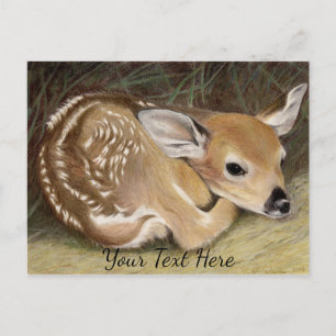 Fawn Postcard