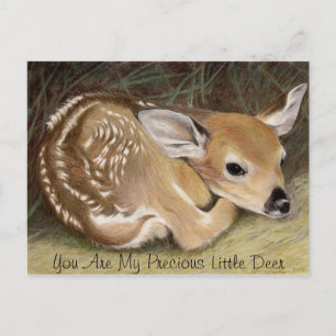 Fawn Postcard