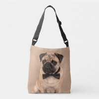 Fawn Pug Dog with Bow Tie