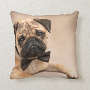 Fawn Pug Dog with Bow Tie Cushion