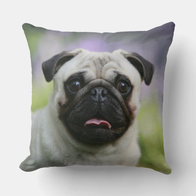 Fawn Pug on Alert Cushion (Front)