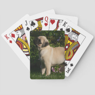 Fawn Pug Profile Playing Cards