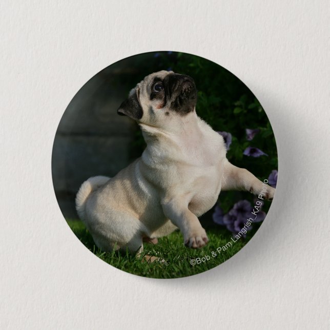 Fawn Pug Puppy 6 Cm Round Badge (Front)