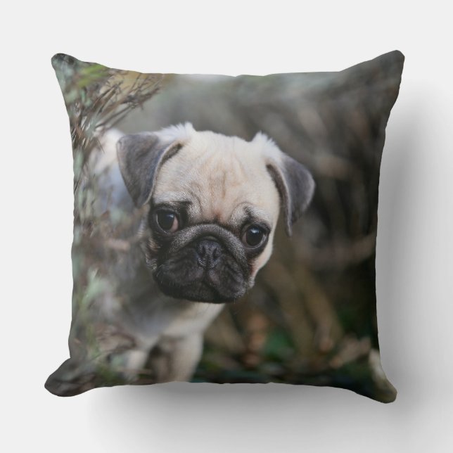 Fawn Pug Puppy Headshot Cushion (Front)