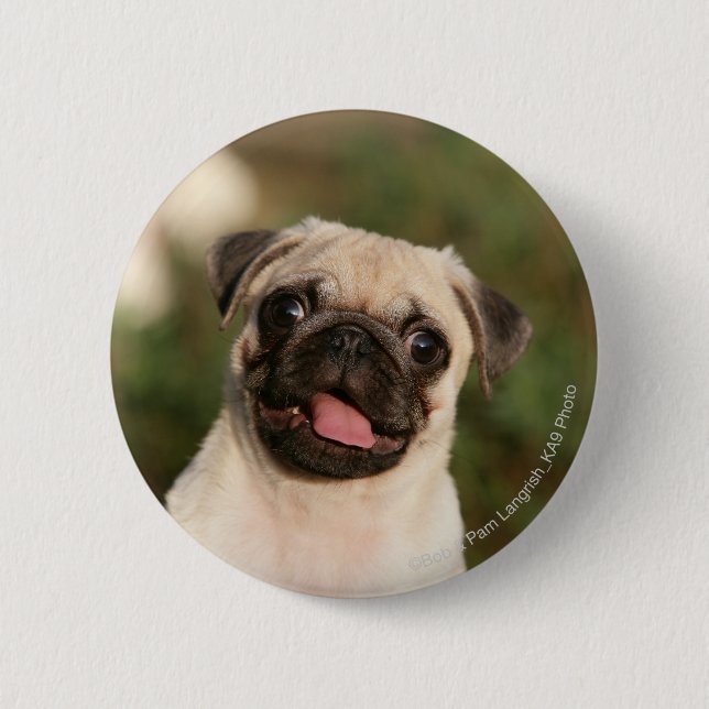 Fawn Pug Puppy Panting 6 Cm Round Badge (Front)