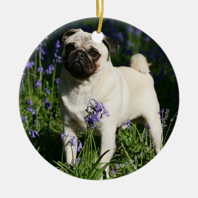 Fawn Pug Standing in the Bluebells Ceramic Tree Decoration (Front)
