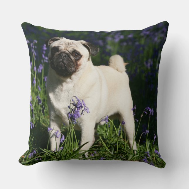 Fawn Pug Standing in the Bluebells Cushion (Front)