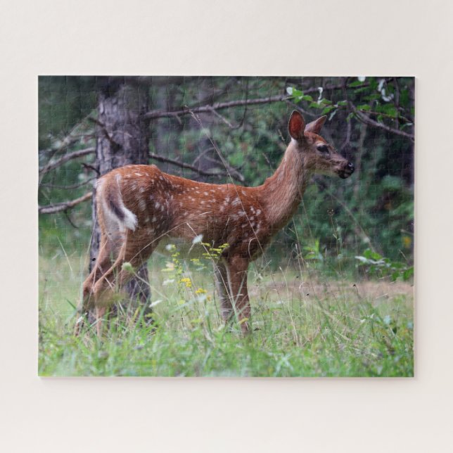Fawn Puzzle (Horizontal)