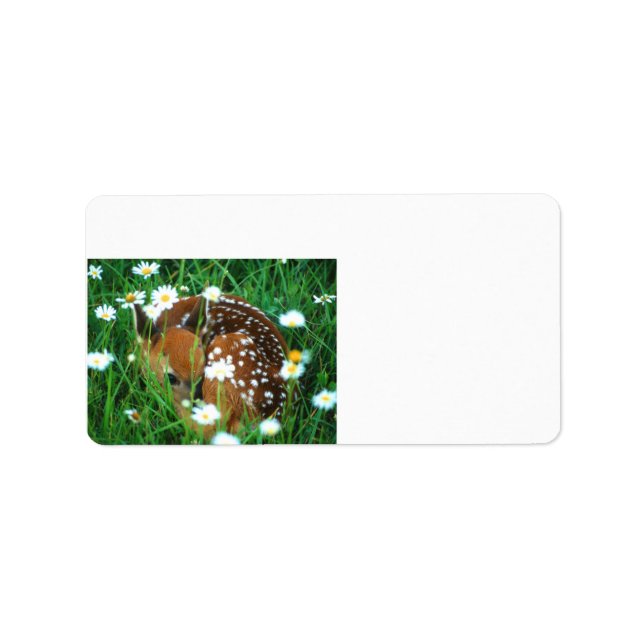 fawn resting in flowers label (Front)