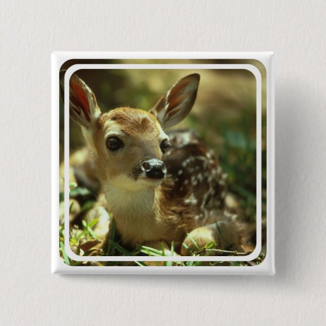 Fawn Square Pin (Front)