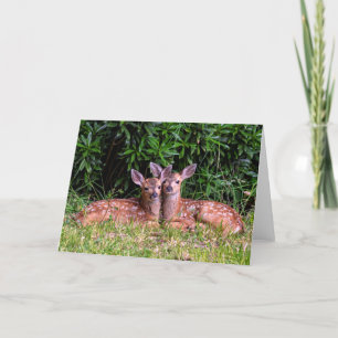 Fawn Twins - Pender Island BC. Card