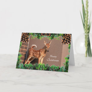 Fawn (white-tailed deer) Christmas Card