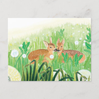 Fawns in Tall Grass Illustration Postcard