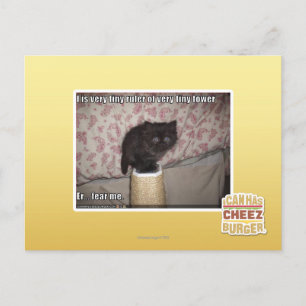 Fear me postcard