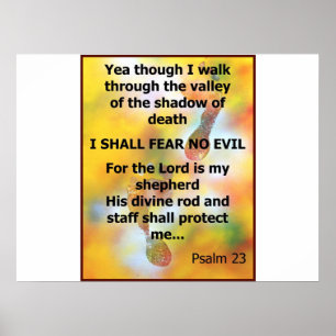 Fear No Evil Psalm Scripture spray painting Poster