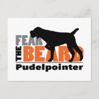 Fear the Beard - Pudelpointer