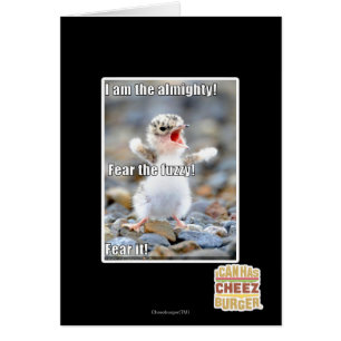 Fear the Fuzzy!
