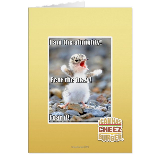Fear the Fuzzy! (Front)