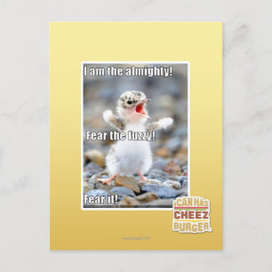 Fear the Fuzzy! Postcard