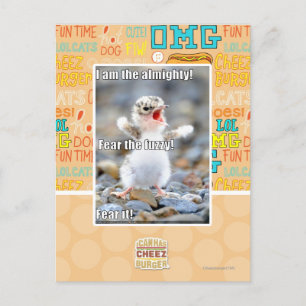 Fear the Fuzzy! Postcard