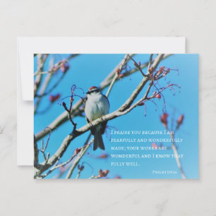 Fearfully and Wonderfully Made Photo Verse Postcard