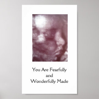 Fearfully and Wonderfully Made / Poster