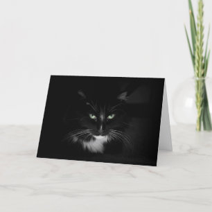 Fearsome black cat card