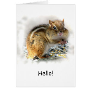 Feasting Chipmunk