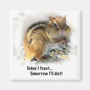 Feasting Chipmunk Magnet