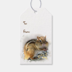 Feasting Chipmunk Pack of Gift Tags
