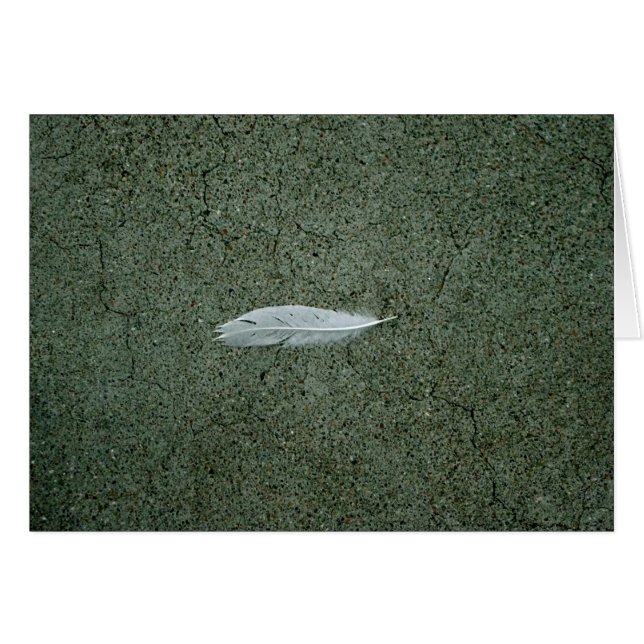 Feather (Front Horizontal)