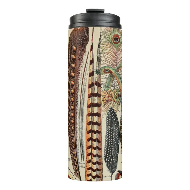 Feather Bird Wildlife Antique Feathers Thermal Tumbler (Front)