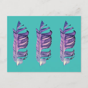 Feather drawing fine art original illustration postcard