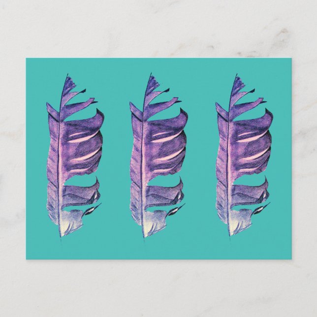 Feather drawing fine art original illustration postcard (Front)