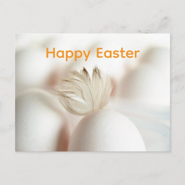 Feather Graphic Postcard (Front)