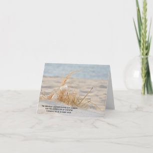 Feather In Beach Grass Sympathy Thank You Card