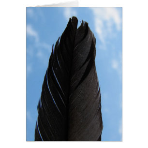 Feather in the Sky