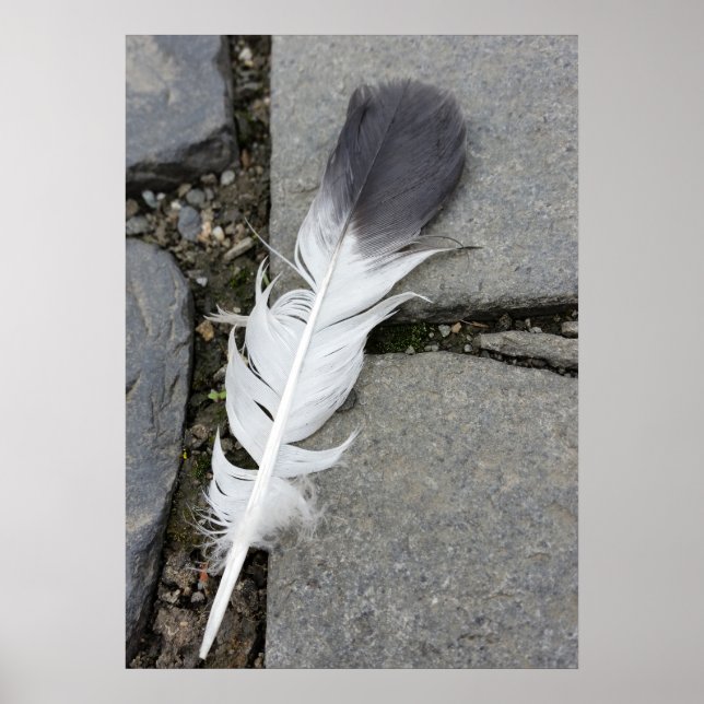 feather on pavement poster (Front)