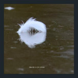 Feather on the water poster<br><div class="desc">Feather on the water,  Delaware River,  South Jersey</div>