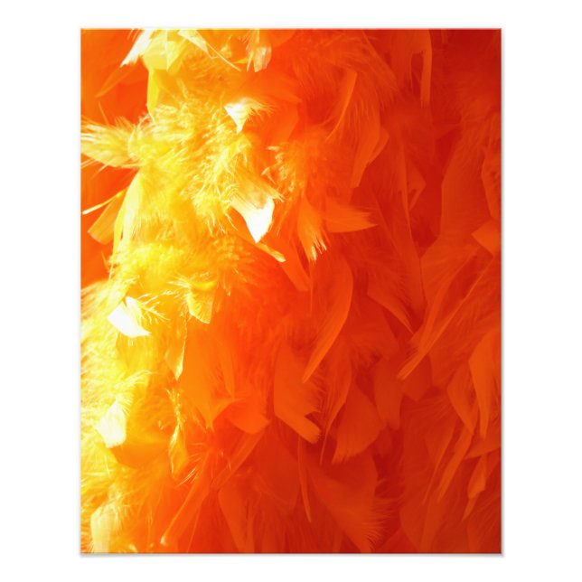 Feather Photo Print (Front)