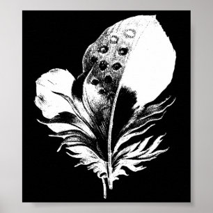 Feather Print