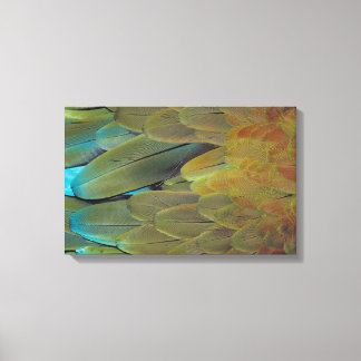 Feather surface 3 canvas print