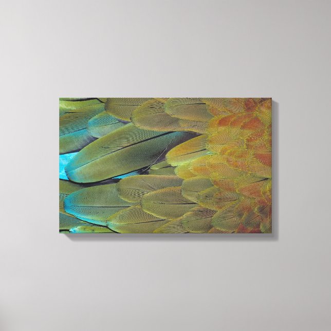 Feather surface 3 canvas print (Front)