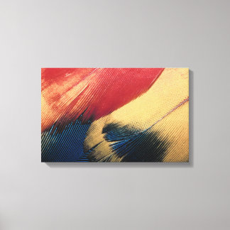 Feather surface canvas print