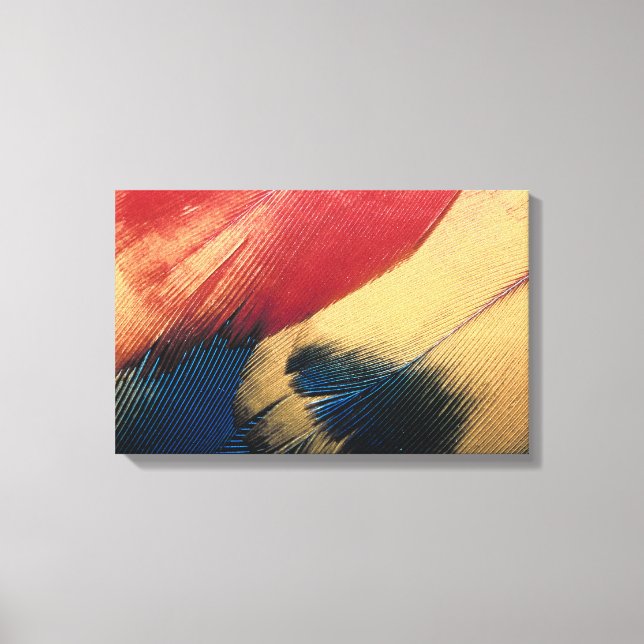 Feather surface canvas print (Front)