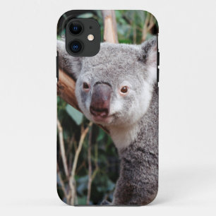 Featherdale Wildlife Park, Koala Bears Case-Mate iPhone Case