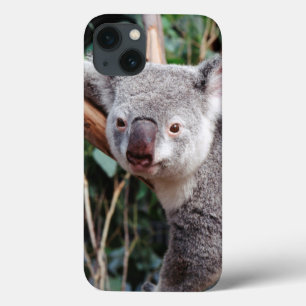 Featherdale Wildlife Park, Koala Bears iPhone 13 Case