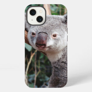 Featherdale Wildlife Park, Koala Bears iPhone 13 Case