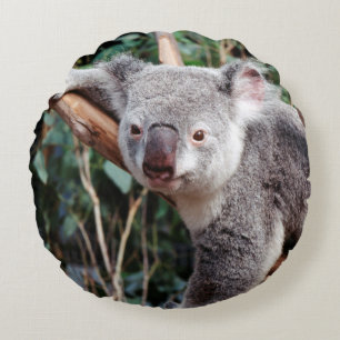 Featherdale Wildlife Park, Koala Bears Round Cushion