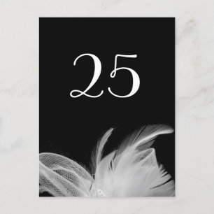 Feathered 1920's Table Number Postcard